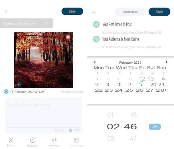 How to organize the Instagram feed